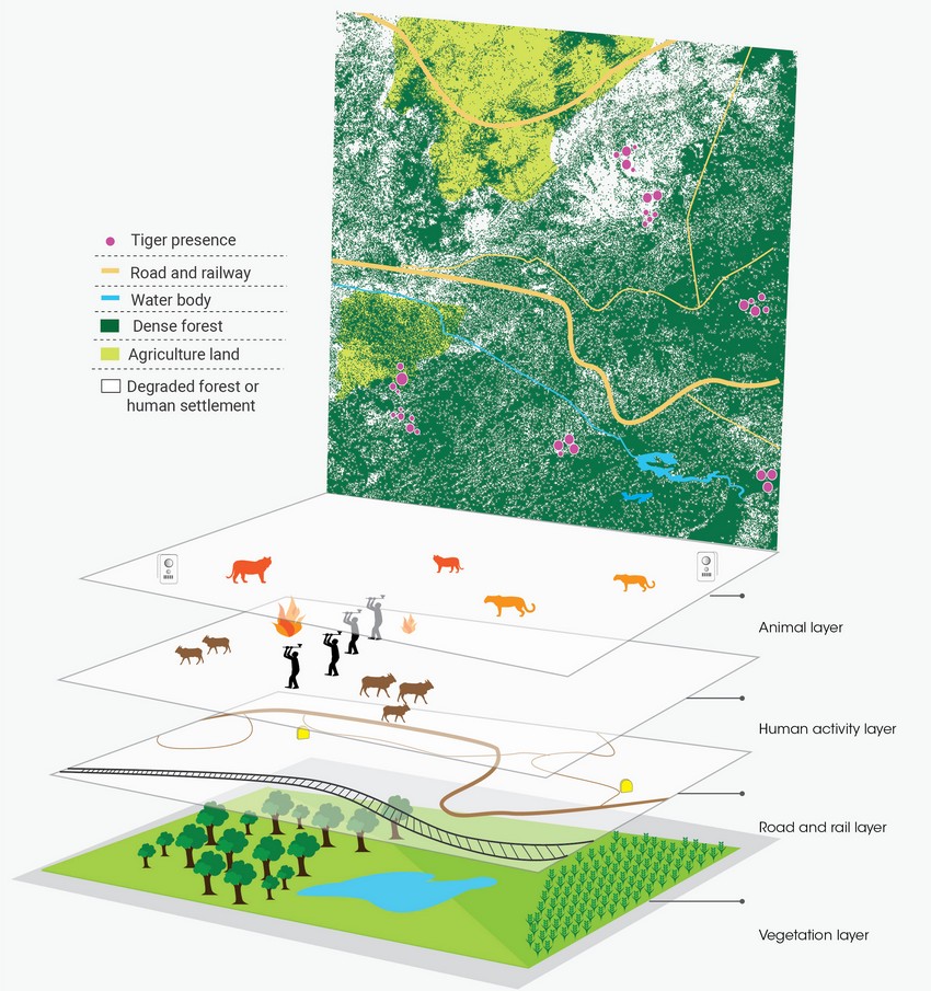 Corridor Connectivity: Multiple layers of data are integrated using GIS software to create a composite, landscape-level perspective