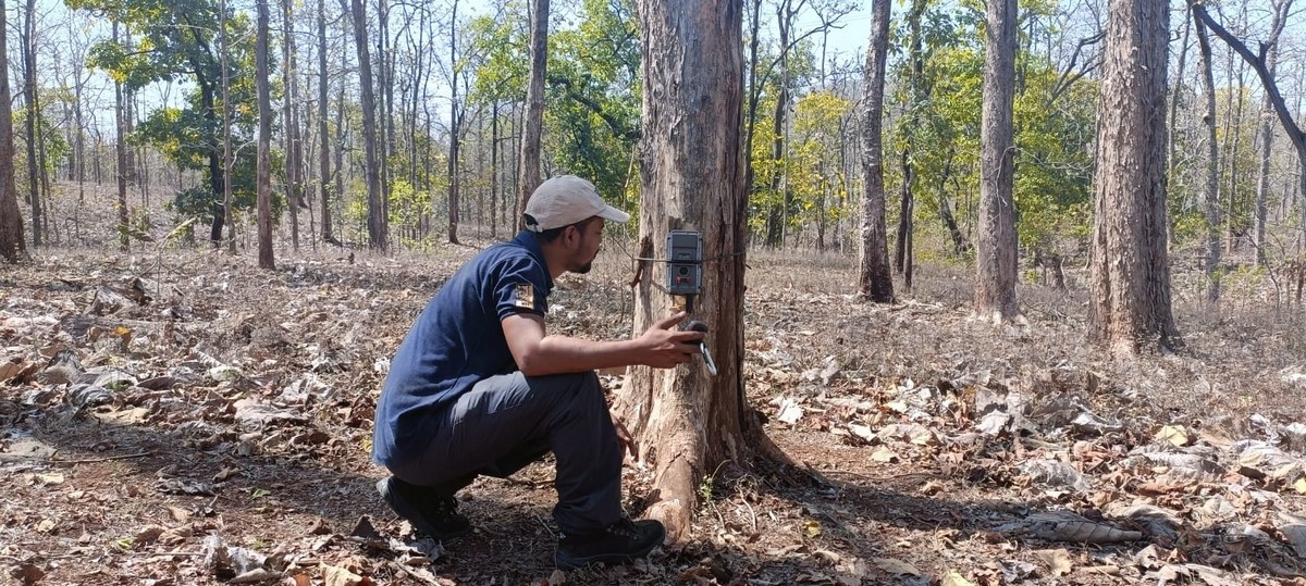 Corridor Connectivity: WCT conducts camera-trap based surveys in critical wildlife corridors to identify high priority sites where mitigation structures are required.