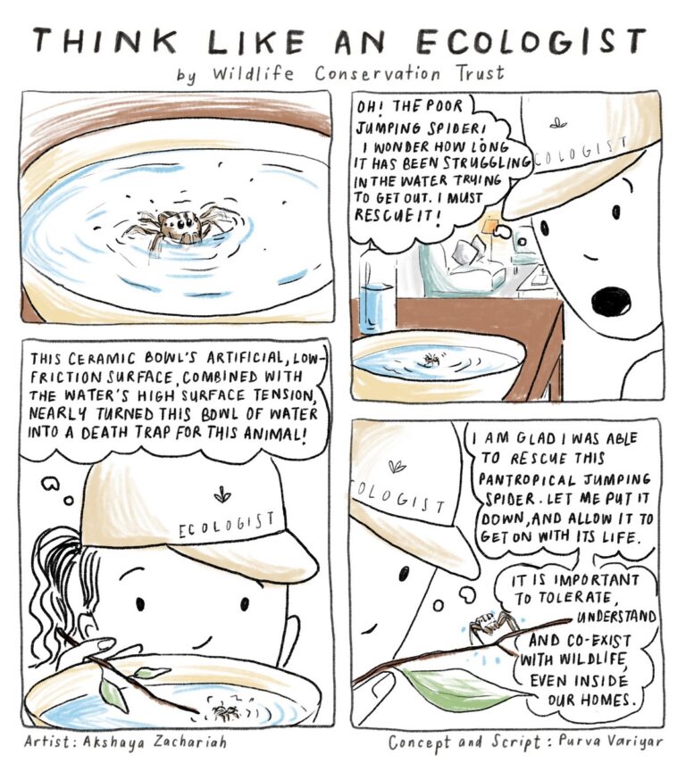 Dive into the ‘Think Like an Ecologist’ comic series by Wildlife Conservation Trust and begin viewing the natural world with more respect, appreciation, curiosity, and sensitivity. Enjoy reading the comic series and feel free to download and share them widely.