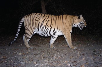 Supporting Budding Conservation Biologists - Catalysing Conservation - Wildlife Conservation Trust (WCT)