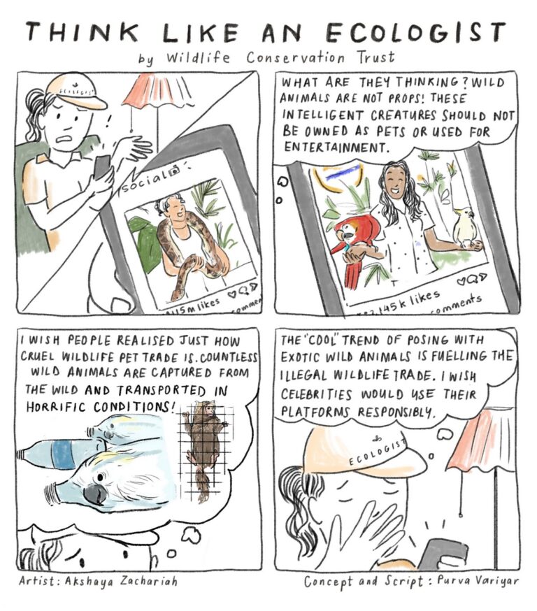 Dive into the ‘Think Like an Ecologist’ comic series by Wildlife Conservation Trust and begin viewing the natural world with more respect, appreciation, curiosity, and sensitivity. Enjoy reading the comic series and feel free to download and share them widely.