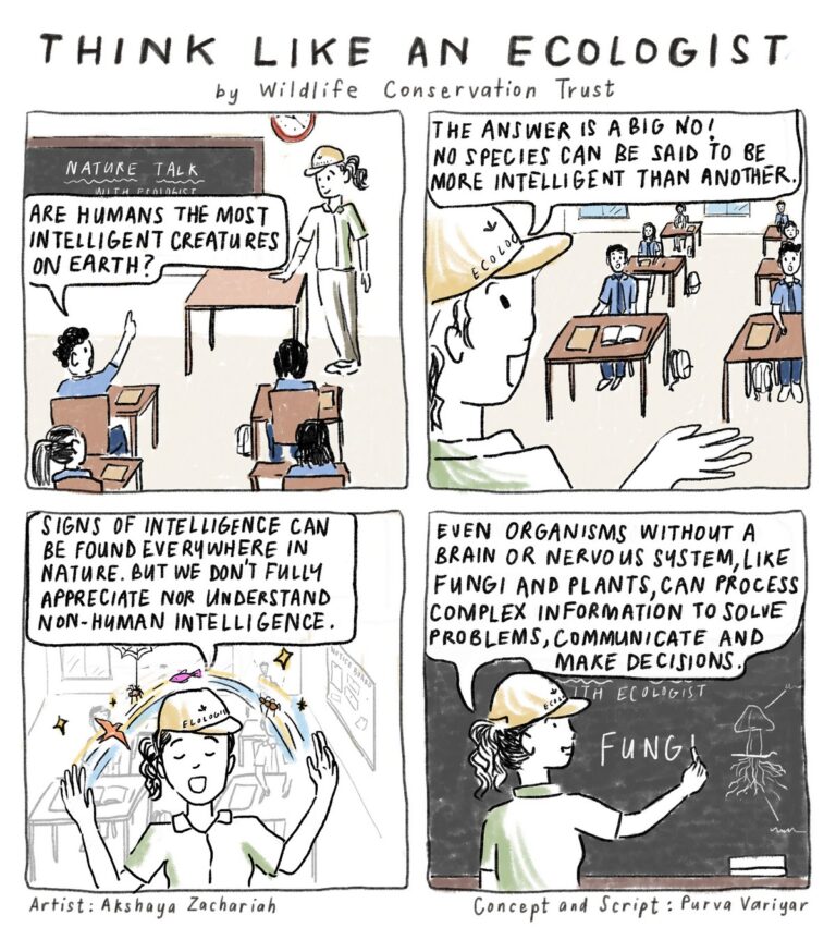 Dive into the ‘Think Like an Ecologist’ comic series by Wildlife Conservation Trust and begin viewing the natural world with more respect, appreciation, curiosity, and sensitivity. Enjoy reading the comic series and feel free to download and share them widely.