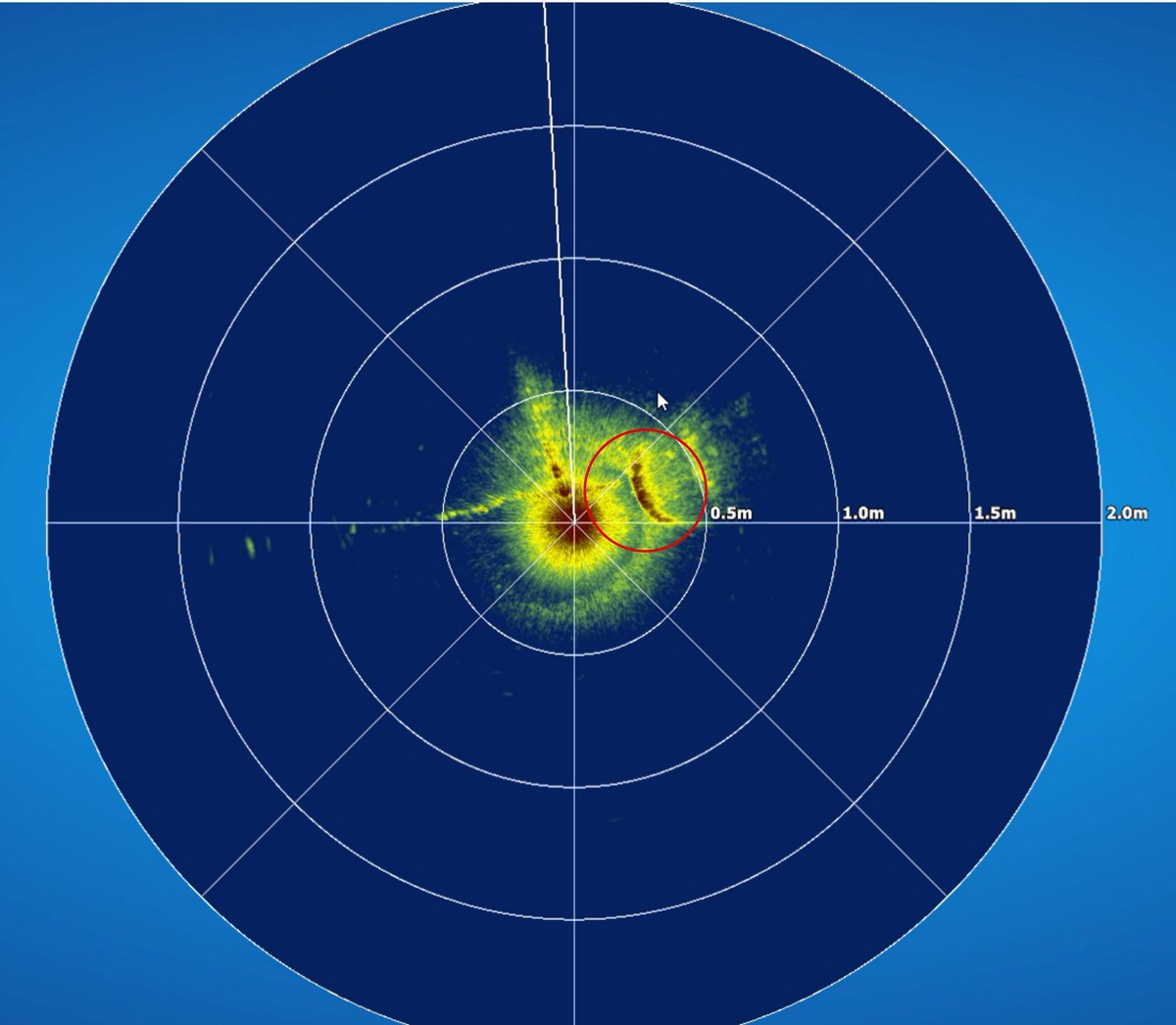 A crocodile is seen on the right of the central reference point, at a depth of around 4 m.