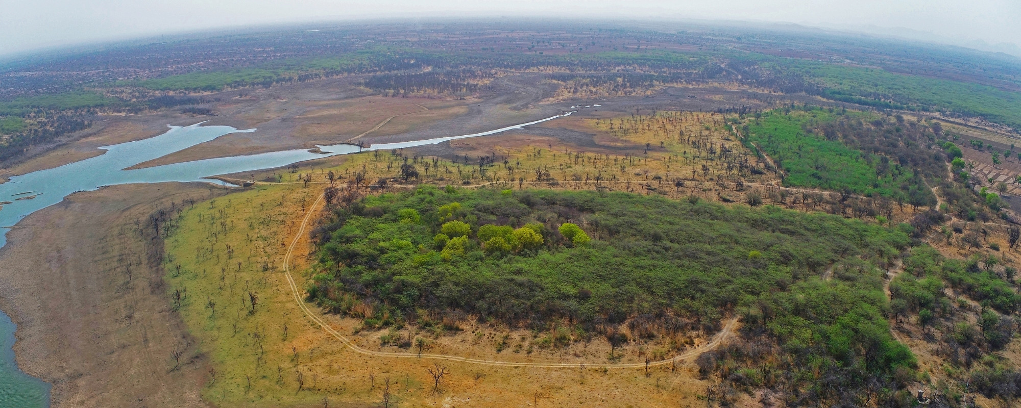 Wildlife Conservation Trust’s ongoing Ecosystem Restoration programme involves projects focused on restoring degraded landscapes.