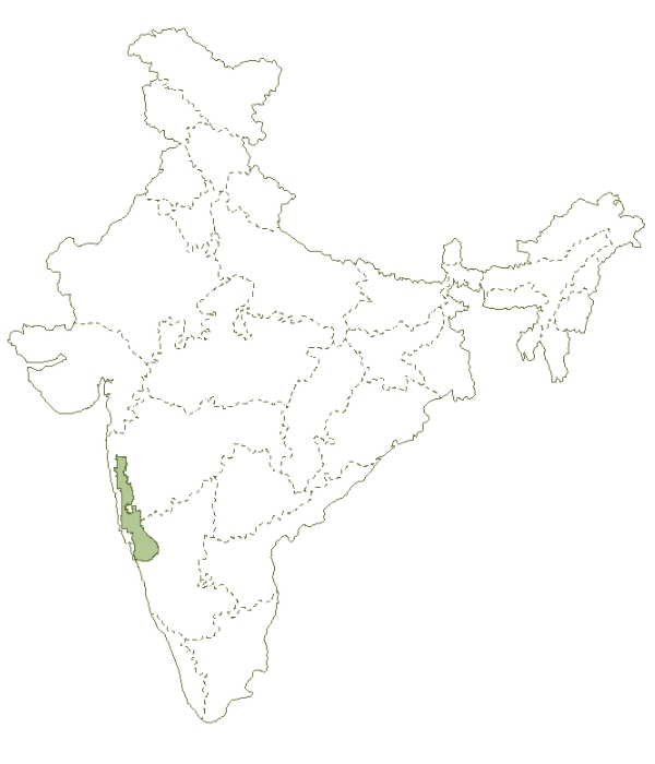 Western Ghats: Improving Large Carnivore Connectivity