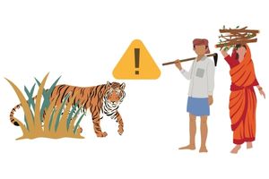 Human-Wildlife Interface Management