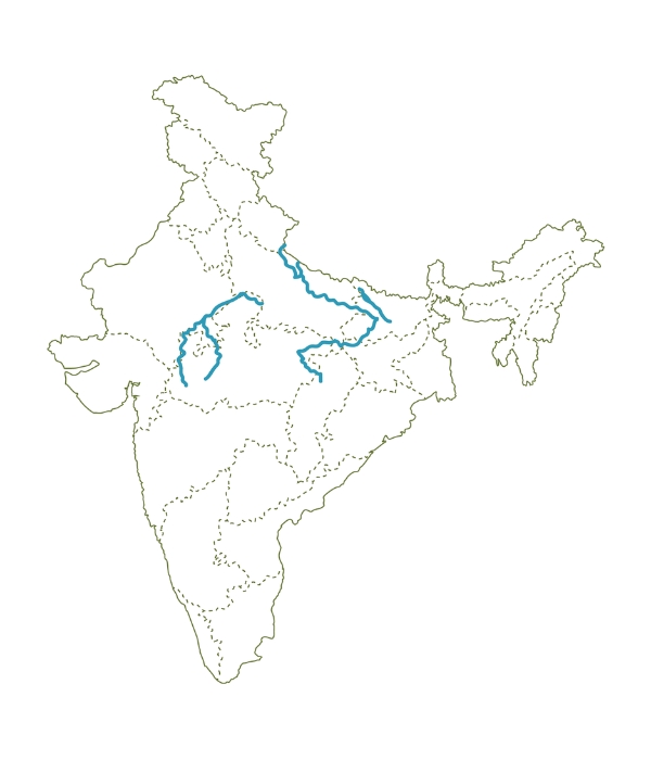 WCT is building a conservation roadmap for gharial conservation under its Programme Makara with an emphasis on Chambal River, and Son, Ghaghra, and Gandak Rivers.
