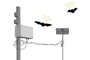 Technology for Wildlife Conservation (WildTech)
