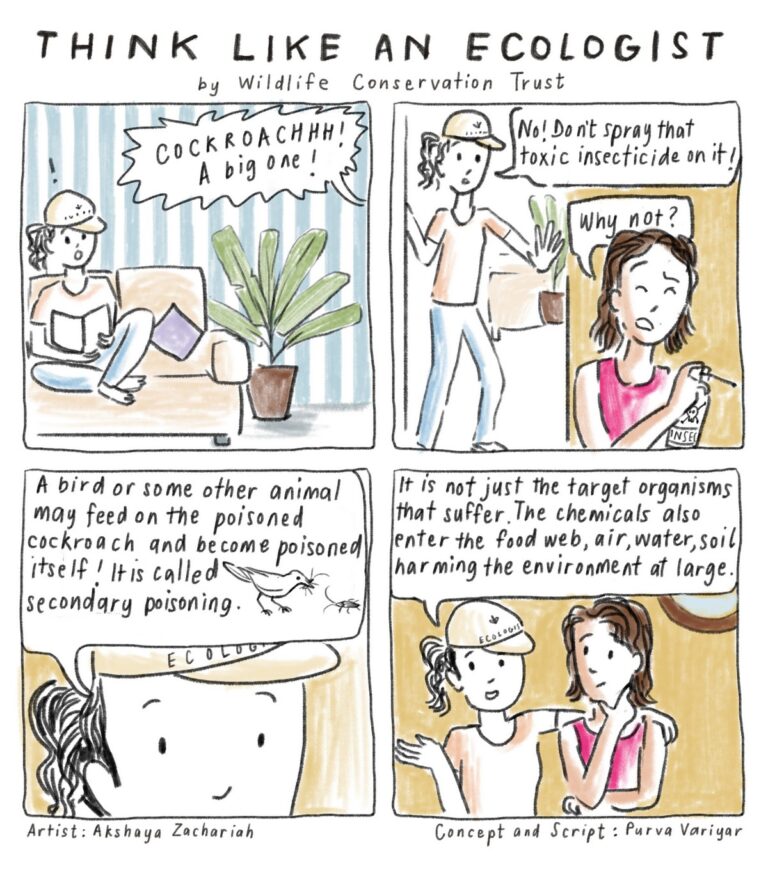 Dive into the ‘Think Like an Ecologist’ comic series by Wildlife Conservation Trust and begin viewing the natural world with more respect, appreciation, curiosity, and sensitivity. Enjoy reading the comic series and feel free to download and share them widely.