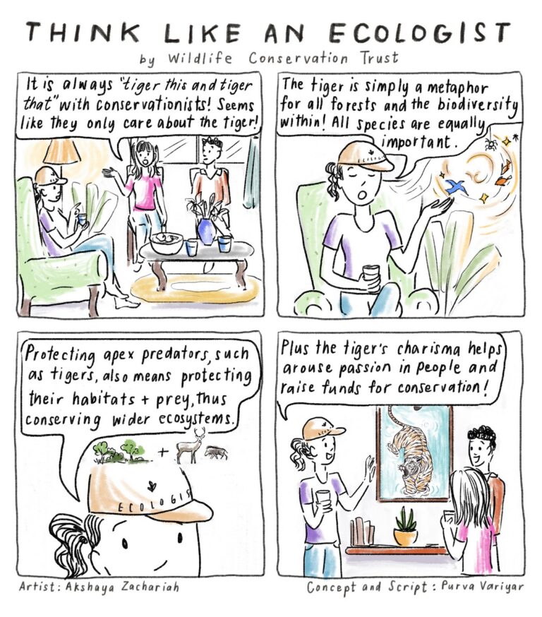 Dive into the ‘Think Like an Ecologist’ comic series by Wildlife Conservation Trust and begin viewing the natural world with more respect, appreciation, curiosity, and sensitivity. Enjoy reading the comic series and feel free to download and share them widely.