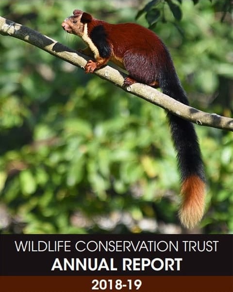 Annual Report - Wildlife Conservation Trust (WCT)