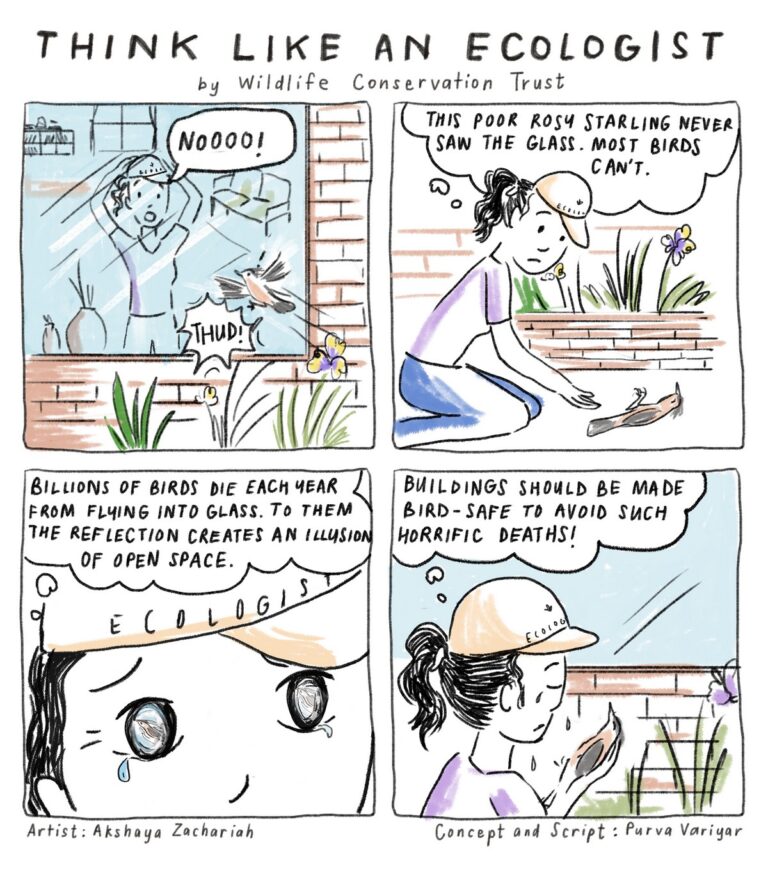 Dive into the ‘Think Like an Ecologist’ comic series by Wildlife Conservation Trust and begin viewing the natural world with more respect, appreciation, curiosity, and sensitivity. Enjoy reading the comic series and feel free to download and share them widely.