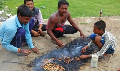 Village Social Transformation: The Maharashtra Village Social Transformation Foundation (VSTF) was set up by the Government of Maharashtra, with support from corporates, with an aim to create a public-private partnership that aids holistic development in rural Maharashtra. The objective is to integrate multiple developmental goals — including skill training, education, water security and environment protection in over 1,000 villages in a way that is scalable, sustainable and self-enforcing.