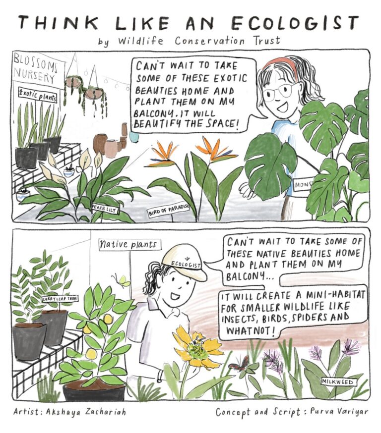 Dive into the ‘Think Like an Ecologist’ comic series by Wildlife Conservation Trust and begin viewing the natural world with more respect, appreciation, curiosity, and sensitivity. Enjoy reading the comic series and feel free to download and share them widely.