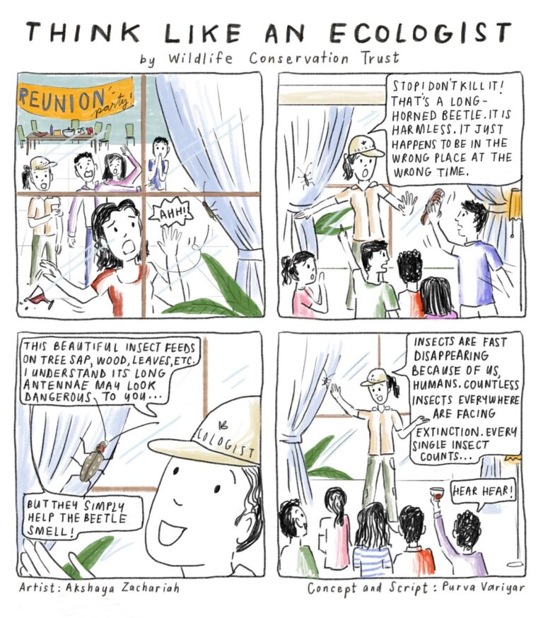Dive into the ‘Think Like an Ecologist’ comic series by Wildlife Conservation Trust and begin viewing the natural world with more respect, appreciation, curiosity, and sensitivity. Enjoy reading the comic series and feel free to download and share them widely.