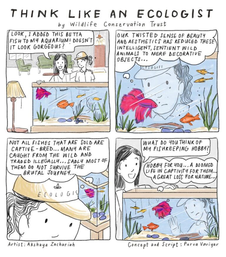 Dive into the ‘Think Like an Ecologist’ comic series by Wildlife Conservation Trust and begin viewing the natural world with more respect, appreciation, curiosity, and sensitivity. Enjoy reading the comic series and feel free to download and share them widely.