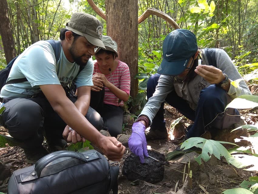 WCT BEES - Investigating the Effects of Road Network on Genetic Connectivity and Population Structure of Gaur (Bos gaurus) in Central Indian Landscape.