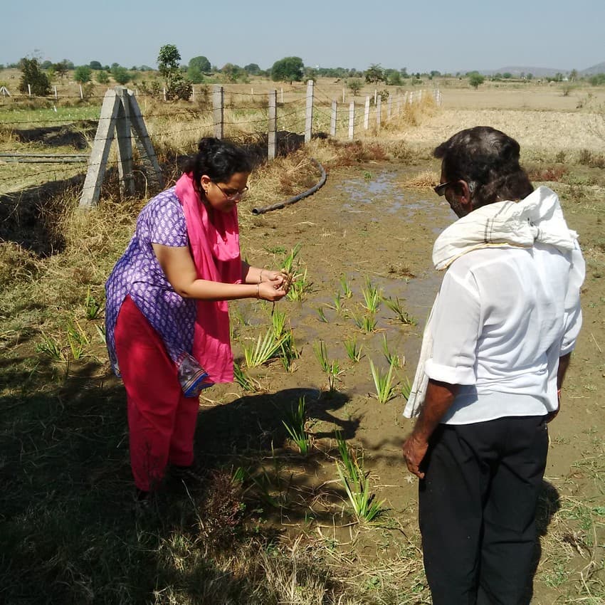 WCT BEES Grants - Development of Manual for Non-palatable alternative medicinal crops – as a solution for long term conflict management for fringes of protected areas.