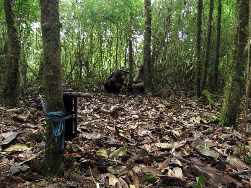 WCT BEES Grants - Facilitating wild felid conservation through community participation in eastern Nagaland, India
