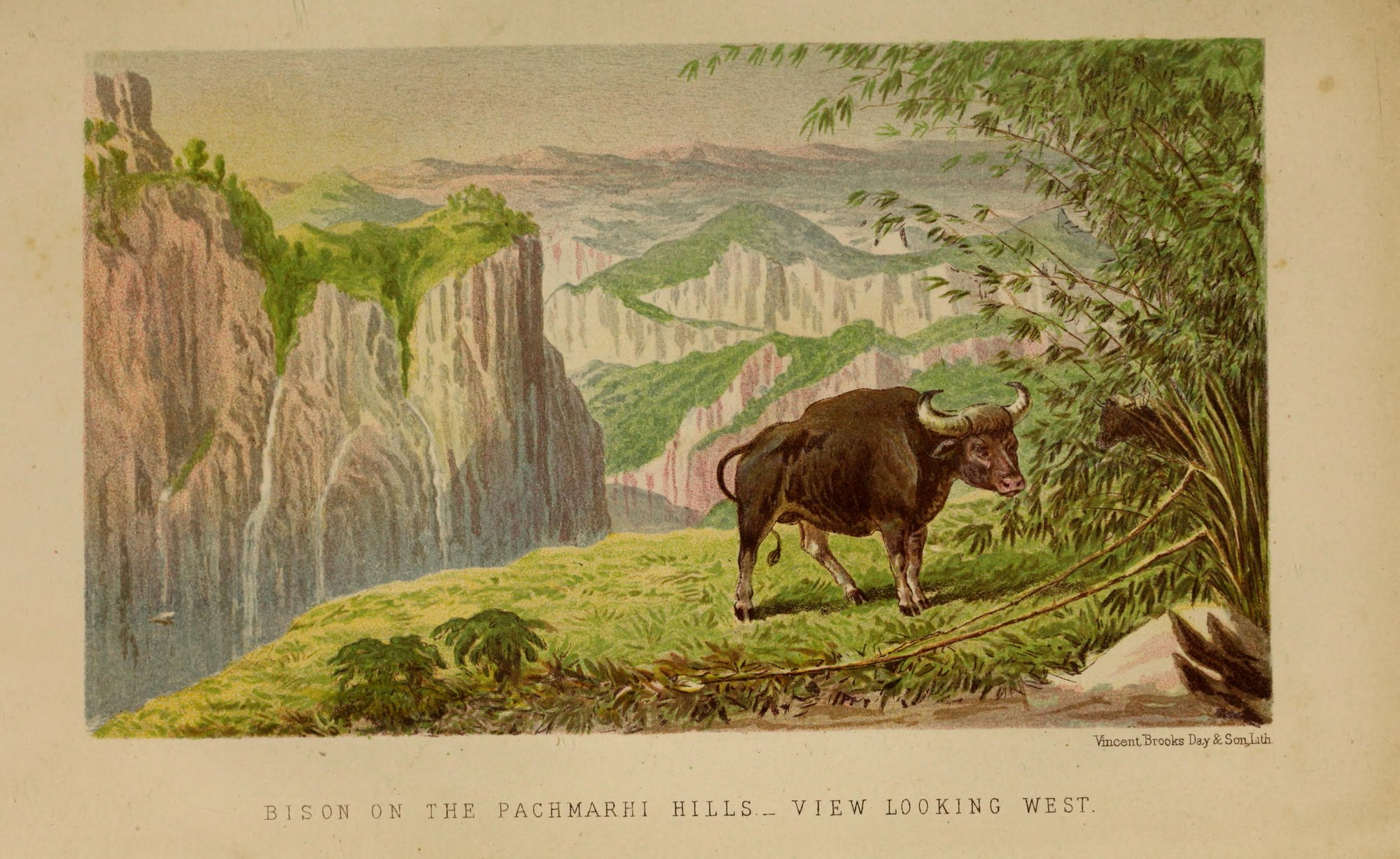 The Satpura Otter Saga - Captain James Forsyth was the first European to systemically survey the flora and fauna of the Satpura ranges in particular, and central India in general. He wrote eloquently about them in his book ‘Highlands of Central India’ published in 1871. Photo: Highlands Of Central India by Captain James Forsyth, 1871