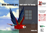 The #TrappedInTrade campaign is focused on the serious issue of growing demand for exotic animals in India and the urgent need for stronger wildlife laws for better regulation of trade in exotic species in the country.
