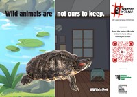 The #TrappedInTrade campaign is focused on the serious issue of growing demand for exotic animals in India and the urgent need for stronger wildlife laws for better regulation of trade in exotic species in the country.
