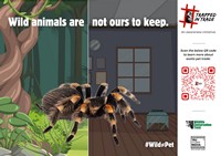 The #TrappedInTrade campaign is focused on the serious issue of growing demand for exotic animals in India and the urgent need for stronger wildlife laws for better regulation of trade in exotic species in the country.