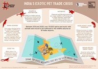 The #TrappedInTrade campaign is focused on the serious issue of growing demand for exotic animals in India and the urgent need for stronger wildlife laws for better regulation of trade in exotic species in the country.