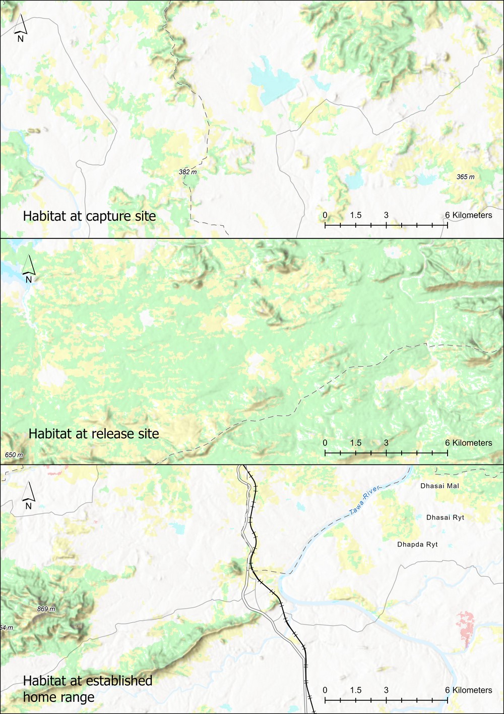 This visualisation compares the habitats of a translocated leopardess’s capture and release sites, with the site at which it finally established its home range post translocation. The significant difference in the habitats at the capture and release sites influenced the leopardess’s behaviour and movement patterns post-release. Overall, the leopardess’s capture site and the established home range have notable similarities in forest cover, predator density, prey type, and human influence, while the release site differed significantly in these aspects. This suggests that releasing relocated animals in habitats similar to their capture site may promote quicker acclimatisation, reduce stress that is caused to it while exploring new territory, while also supporting stabler territory establishment. Photo: WCT