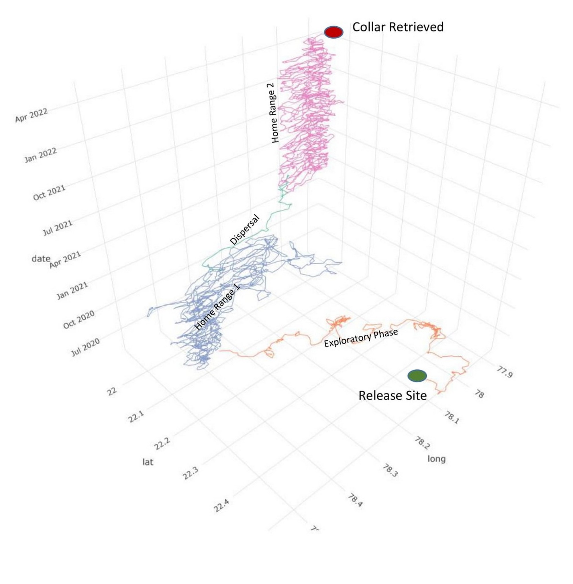 This space-time cube depicts the trajectory of a tigress’s movements in three dimensions – longitude, latitude, and time – documented in the two years that she was being monitored using satellite telemetry. The green circle is her release site in a Protected Area. The red circle is located in a territorial forest (10 km.) from where the collar was retrieved after it was remotely dropped off. The line is the trajectory of the tigress traced based on the GPS fixes received over the course of satellite tracking. Photo: WCT
