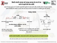 The #TrappedInTrade campaign is focused on the serious issue of growing demand for exotic animals in India and the urgent need for stronger wildlife laws for better regulation of trade in exotic species in the country.
