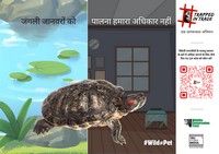 The #TrappedInTrade campaign is focused on the serious issue of growing demand for exotic animals in India and the urgent need for stronger wildlife laws for better regulation of trade in exotic species in the country.