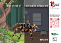 The #TrappedInTrade campaign is focused on the serious issue of growing demand for exotic animals in India and the urgent need for stronger wildlife laws for better regulation of trade in exotic species in the country.