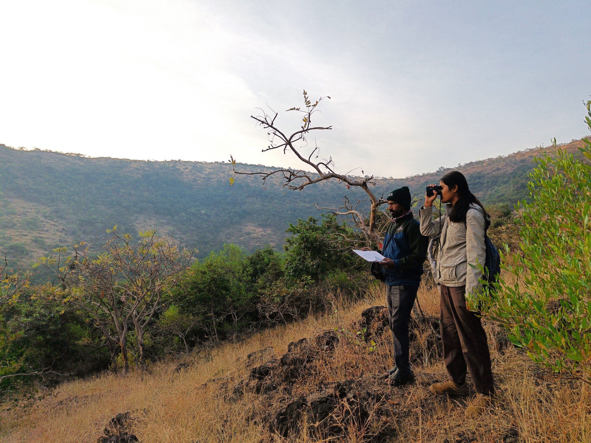 The Sagareshwar Story – an experiment in rewilding - WCT field team carrying out an ungulate line transect survey at the Sagareshwar WLS. Image Credit: Girish Arjun Punjabi