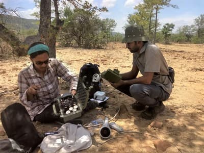 WCT BEES Grants - Creating and testing a methodological framework for the detection of the critically endangered Jerdon’s courser (Rhinoptilus bitorquatus) using Automated Recording Units