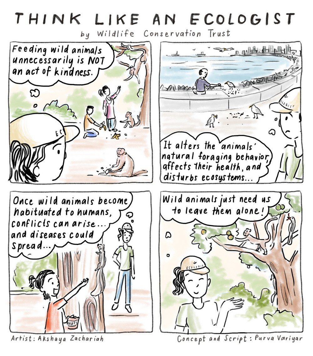 Dive into the ‘Think Like an Ecologist’ comic series by Wildlife Conservation Trust and begin viewing the natural world with more respect, appreciation, curiosity, and sensitivity. Enjoy reading the comic series and feel free to download and share them widely.