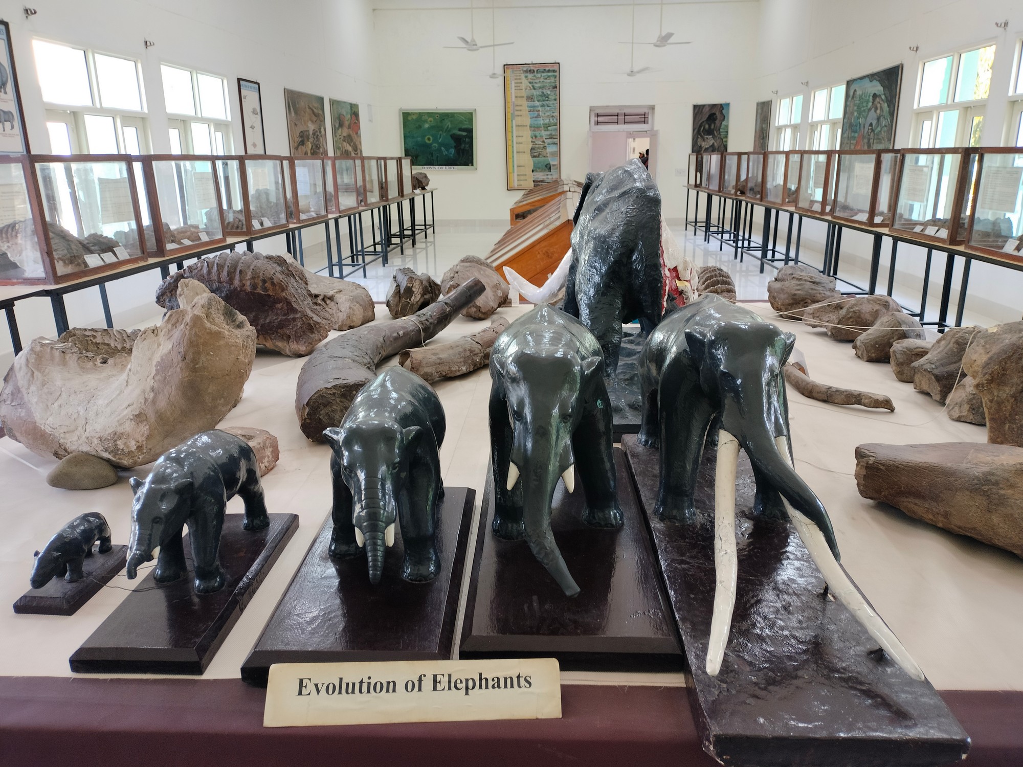 The Siwaliks: Fossil Heaven On Earth -