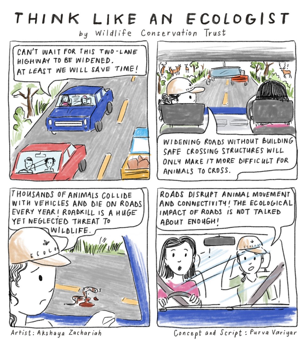 Dive into the ‘Think Like an Ecologist’ comic series by Wildlife Conservation Trust and begin viewing the natural world with more respect, appreciation, curiosity, and sensitivity. Enjoy reading the comic series and feel free to download and share them widely.