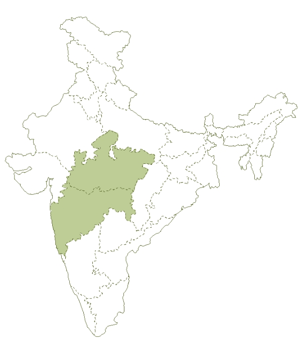 Tigers, Forests, & Communities: Wildlife Conservation Trust (WCT) is working towards safeguarding the tiger corridors in the CIL through an integrated approach that lays equal emphasis on both local communities and forests.