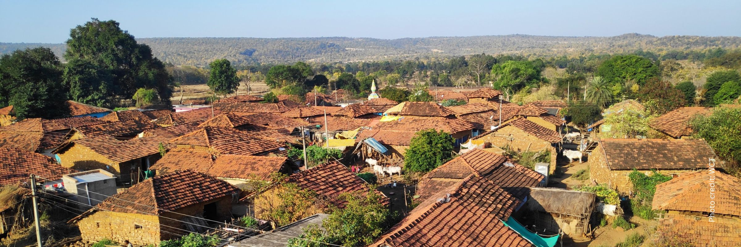 Tigers, Forests, & Communities: Wildlife Conservation Trust (WCT) is working towards safeguarding the tiger corridors in the CIL through an integrated approach that lays equal emphasis on both local communities and forests.