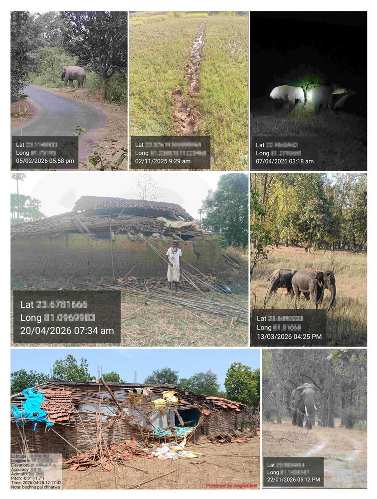 WCT: Monitoring and Understanding Vital Elephant Movements in Madhya Pradesh