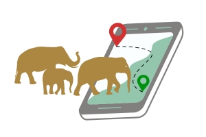 WCT: Monitoring and Understanding Vital Elephant Movements in Madhya Pradesh