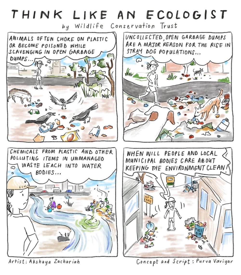 Dive into the ‘Think Like an Ecologist’ comic series by Wildlife Conservation Trust and begin viewing the natural world with more respect, appreciation, curiosity, and sensitivity. Enjoy reading the comic series and feel free to download and share them widely.