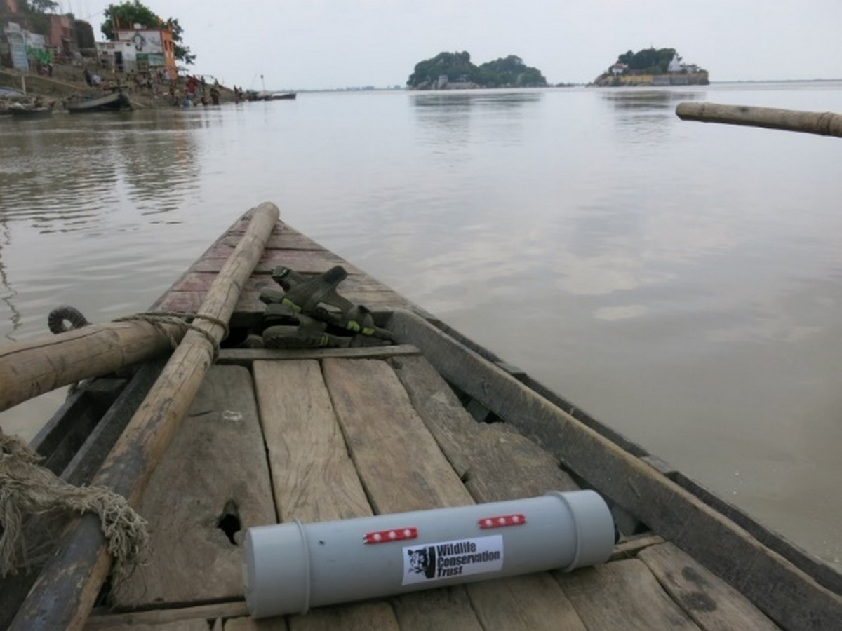 Untangling a Silent Threat in the Ganges - A boat tagged with the BoatBAITS buzzer and tracking device. The boat movements can be tracked remotely using an online software system. ©WCT