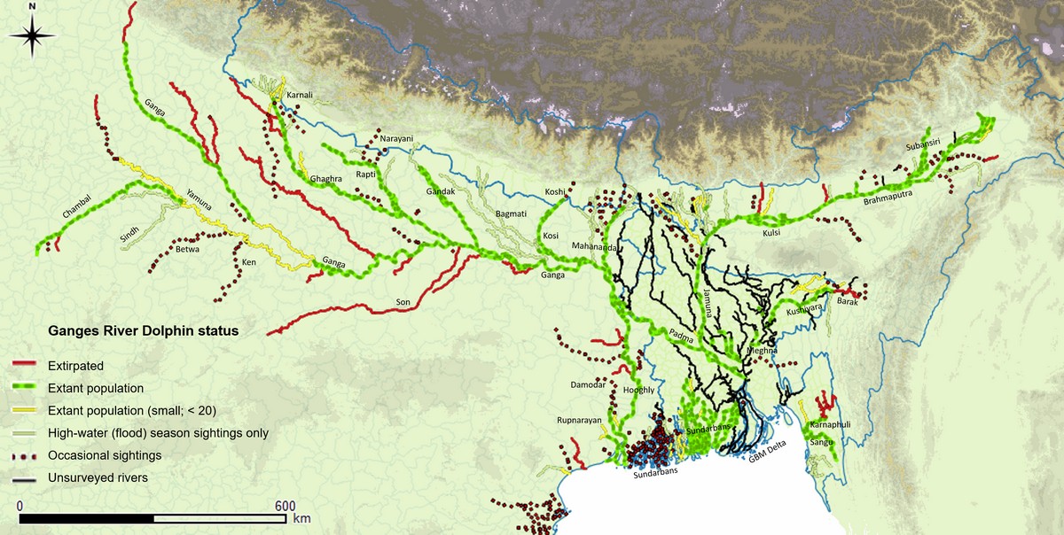 Untangling a Silent Threat in the Ganges - Map depicting the latest status and distribution of the Ganges river dolphin in India’s Gangetic Plains. © Nachiket Kelkar/IUCN Red List Assessment.