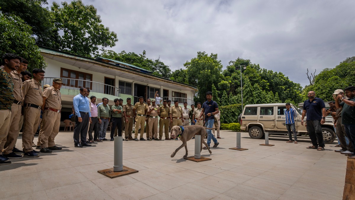 Untangling a Silent Threat in the Ganges - WCT’s conservation dog Impi and his handler demonstrating the dog’s dolphin oil detection skills at a training workshop for the West Bengal Forest Department. ©Allen Jacob/WCT