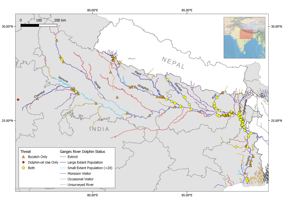 Untangling a Silent Threat in the Ganges - A map showing relative occurrence of bycatch and dolphin oil use across the Gangetic plains in India, prepared from WCT’s informer reports, publications, and media reports. ©S. Ramya Roopa/WCT.
